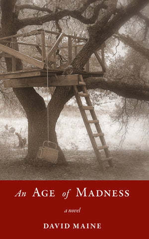 An Age of Madness by David Maine